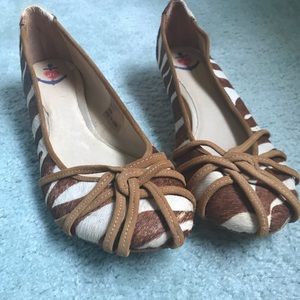 Jeffrey Campbell zebra kitten heel size 6